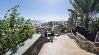 2024-01-Paseo_Costa_Canaria-San_Agustin-Ingles-194.jpg